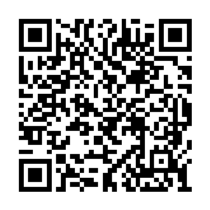 没人注意到流墨墨不善的打量和若有所思的琢磨二维码生成