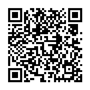 没想到你们不声不响就把鸿基这个项目群给拿下了二维码生成