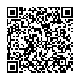 没想到在这蜀山之中竟然能够遇到跟大预言术一样性质的力量……二维码生成