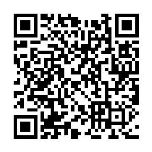 没想到节目当中的金在珉完全没有了私底下的沉稳二维码生成