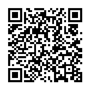 没想到身为家族嫡系的妩衣居然在这种敏感时刻站出来二维码生成