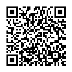 没想到这么短短的时间傲天竟然在修真界闯下了如此大的威名二维码生成