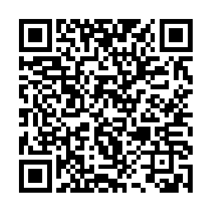 没想到这次竟然敢主动动手打老婆……有人上去劝慰二维码生成