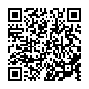 没有人打扰自己可以无拘无束的研究这瓶子的用处了二维码生成