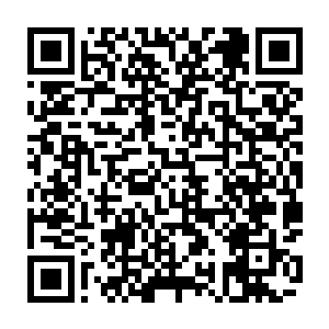 没有人比他更清楚这一刻白昊身上由于外来压迫而散发而出的气势是什么了二维码生成