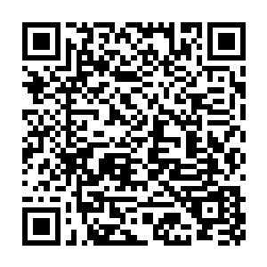 没有人相信张潇晗会毫无条件带着他们安全离开并且还给他们自由的二维码生成