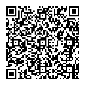 没有人规定已经是王牌师士的乔霆必然操控王牌机甲……他们都被这种固定的思维给限制住了二维码生成