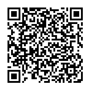 没有任何多余的装扮看起来就像是汹涌人潮之中再普通不过的一名歌迷而已二维码生成