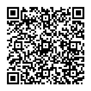 没有想到你竟然能够在大帝境界领悟到其他人就算是达到了入圣境界都无法领悟的东西二维码生成