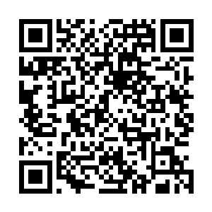 没有想到在这普通世界里面竟然能够发现认识自己这一族的二维码生成