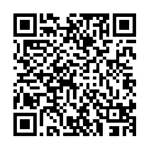 没有意识到姚若霞是提醒她不要把自家的事儿不顾及的往外说二维码生成
