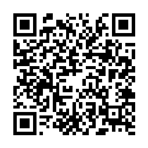 没有抹杀了印记的本命宝器的价值通常会减少一半二维码生成