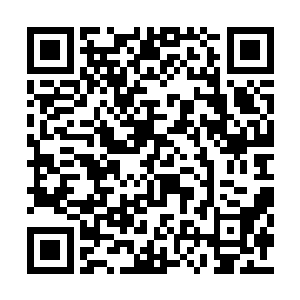 没有渡劫期的灵识修为是绝对达不到这种程度的二维码生成