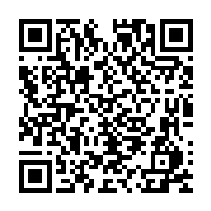 没有看到那个渺小的小人义无反顾拼死保护那个小松鼠的一幕二维码生成