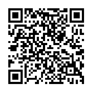 没有真正强者的世家又如何能够在这样险恶的世道里永世长存二维码生成