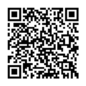 没有被马小玲和姜军符箓咒术击散的血毒凤凰们二维码生成