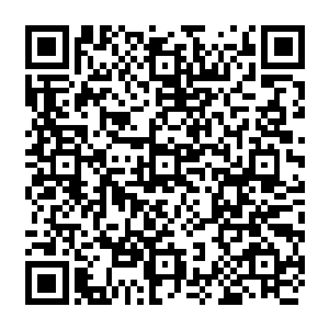 没有阵法支持龙傲天他们最后只用了不到半个小时的时间就将所有的傀儡消灭干净二维码生成