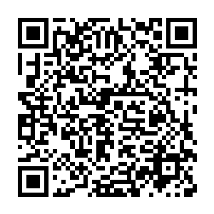 没玩过的玩家们开始拉帮结伙的进入游戏体验一下那中激烈的战斗二维码生成