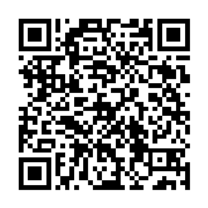 没看见现在张一虎几乎将所有的军务都扔给蒋百里了吗二维码生成