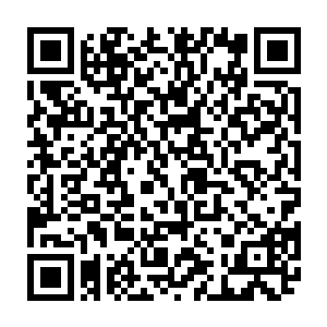 没见到德意志的公使巴兰德和武官巴尔德干最近一直与大清政府走得相当紧密吗二维码生成