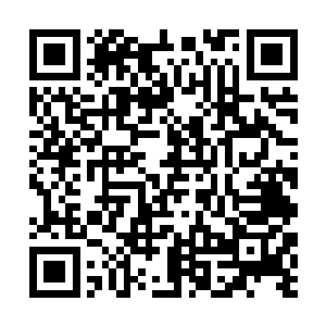 没错这就是他为何会同意沈家那些人参加比试的原因二维码生成