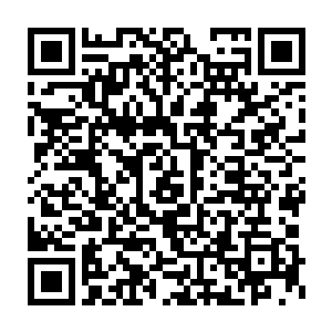 沿着用金漆描了蓝绿色各种图案的抄手游廊走了快有小半个时时夺二维码生成