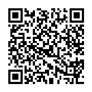 沿途有不少教授看到他们从穆兰莎教授的办公室出来了二维码生成