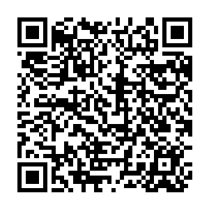 法官很清楚地记得当年拉比特与其表弟兔八哥大闹法庭时朝自己扔屎的举动……二维码生成