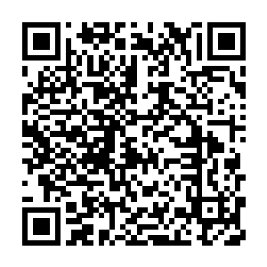 注意力便全部都重新转移到了桌上的散发着浓浓的香味的饭菜上来二维码生成