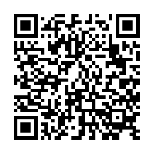 泪光晶坠……这几样东西虽然在现今的玩家和觉醒者眼里二维码生成