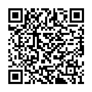 泰勒斯和他的心腹们正在讨论着脱离格瑞森王国二维码生成