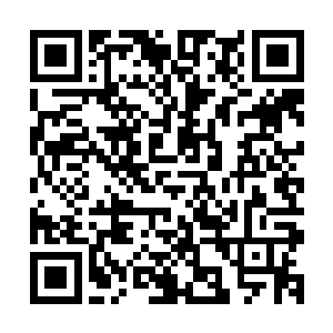 洗牌的双手都忍不住停顿了一下……虽然很快他便又继续洗牌二维码生成