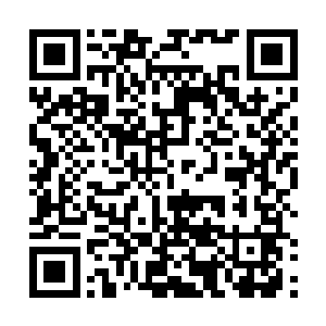 洪大力眉花眼笑的开始翻起这设计师制作出来的效果图二维码生成