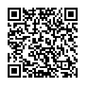 洪涛终于算是第一次在大海上正正经经的当上了船长二维码生成