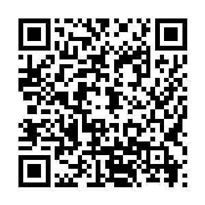 洪炎更是从须弥戒中取出了一枚龙眼大小的血红丹丸二维码生成
