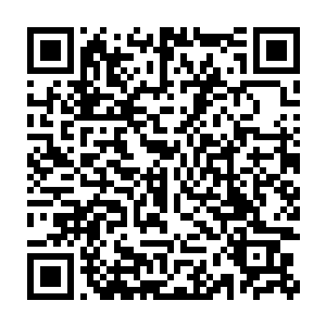 洪震的十二把飞刀和另外一个返虚境强者的八角钉锤不断地轰击阵法二维码生成