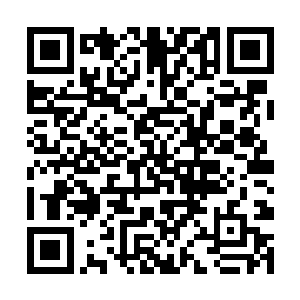 活尸――活尸――如同来自九幽的声音在耳畔回荡着二维码生成