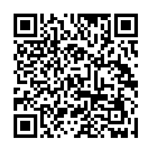 活得太累了……我想去看看她现在变成什么……样……二维码生成