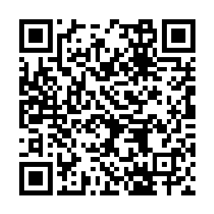 派拉蒙影业已经与我的电影工作室签订了发行协议二维码生成