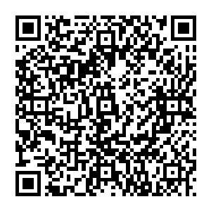 流墨墨一眼就看出眼前少年修为比她高深但骨子里的冰冷高傲让她直接把她和那个少年之间的差距无视了二维码生成