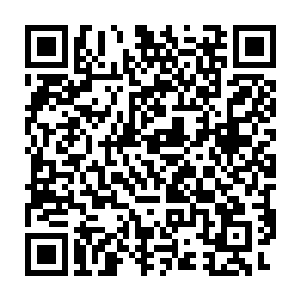 流墨墨不爽的回过头看了他一眼然后哼的一声继续踢那些可怜的灵药二维码生成