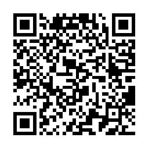 流墨墨他们一行却是吸引了一大票北石岭的仙人跟着二维码生成