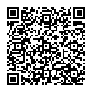 流墨墨和雪如楼愉快的喝着仙酒欣赏着外面一成不变除了仙云啥也看不见的云海的时候二维码生成