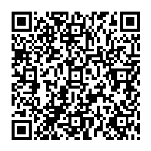 流墨墨微眯眼睛慢慢适应着强烈的阳光看向前方懒洋洋和旁边通天宗长老聊天的桑烟长老二维码生成