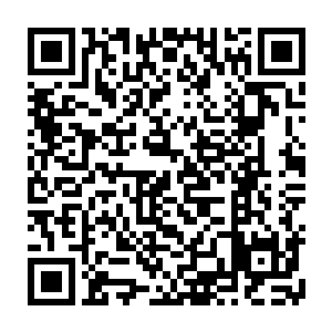 流墨墨感受到背上颜洛儿突然紧张的绷紧的身体加上刚刚那声诡异的笑声二维码生成