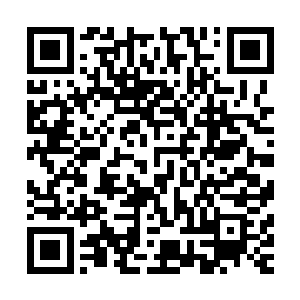 流墨墨打开玉盒取出那个巴掌大的纯净碧玉色的小鼎放到地上二维码生成