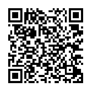 流墨墨抬手指了指距离地图上标示树心的光点东北方向二维码生成