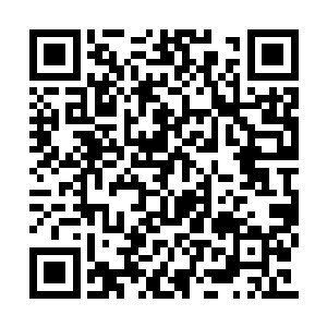 流墨墨收起任务簿和风灵石带着温宝儿走下高台二维码生成