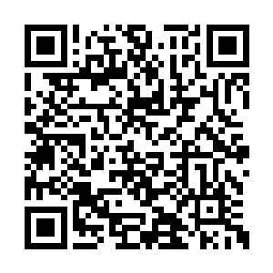 流墨墨无语的看着醒来又昏过去的魅碧莲的神魂二维码生成