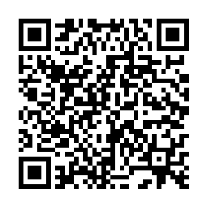 流墨墨有些苦笑不得的把快拱到自己怀里的小丫头推开二维码生成